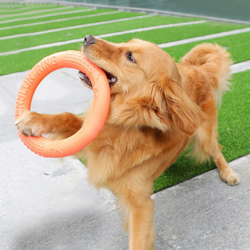 Suction Cup Dog Tug Toy - Laranja voando disco formação anel extrator,