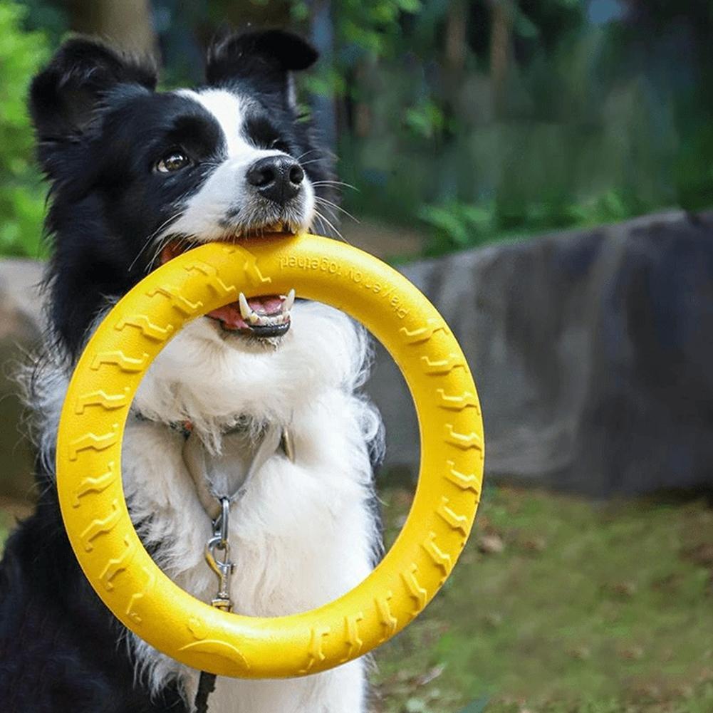 Suction Cup Dog Tug Toy - Brinquedos de Argola para Cães Indestrutíveis