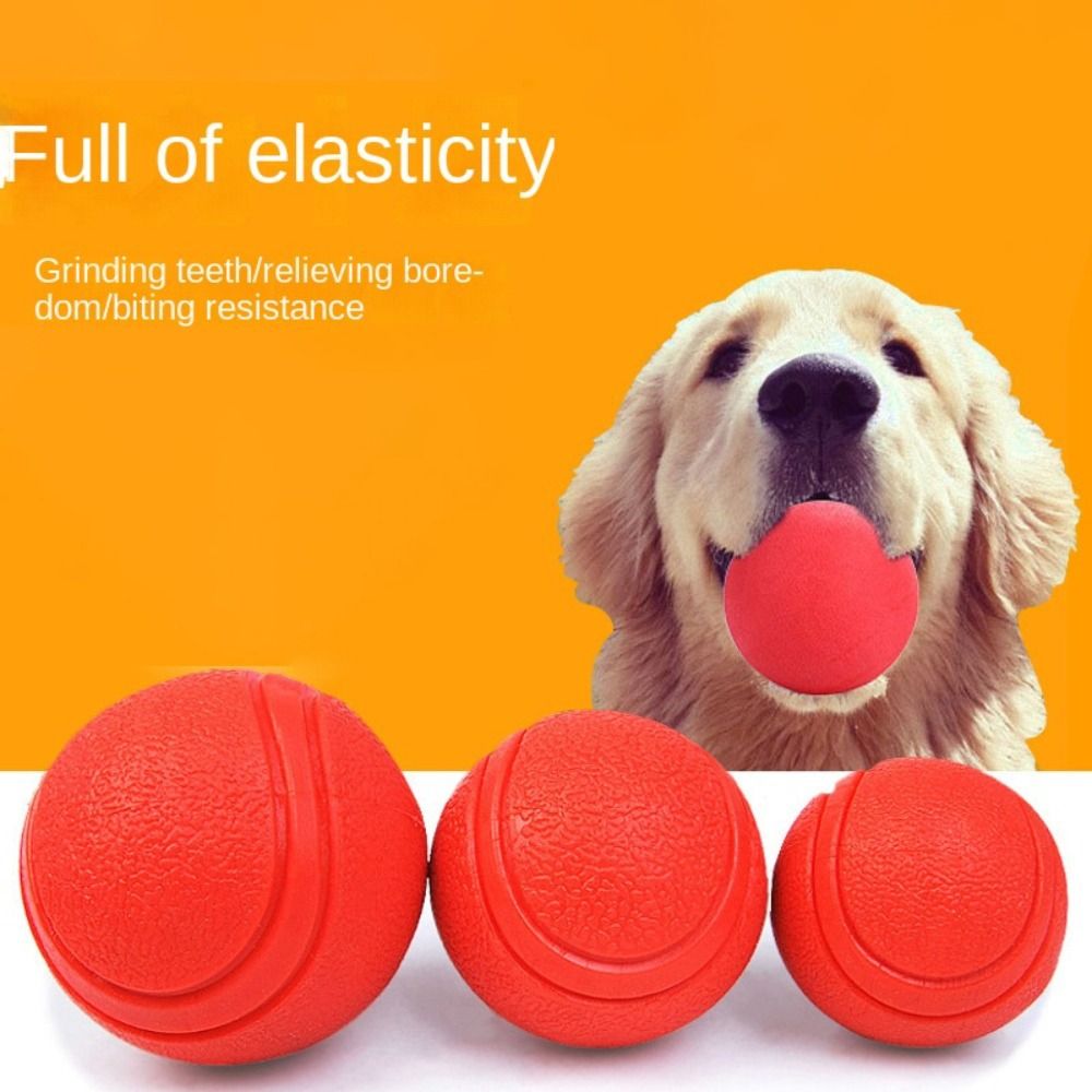 Indestructible Dog Chew Toy - Pet bola sólida de borracha, Dog