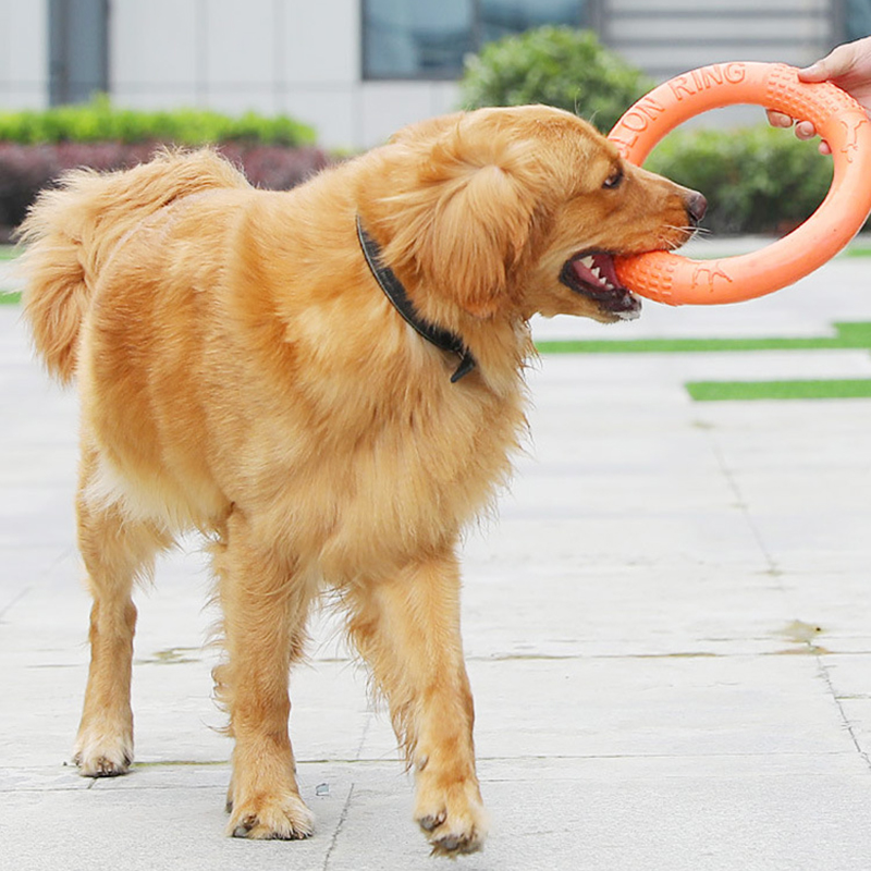 Laranja voando disco formação  - Suction Cup Dog Tug Toy avaliação e preço