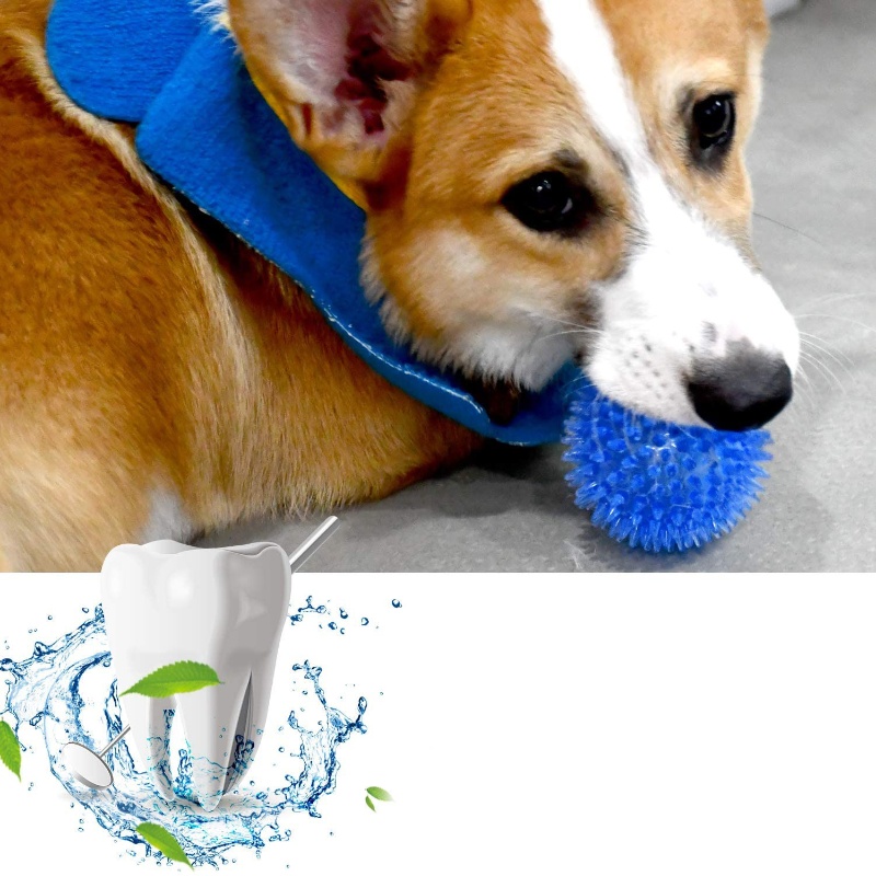 Bola de brinquedo para animais - Indestructible Dog Chew Toy avaliação e preço