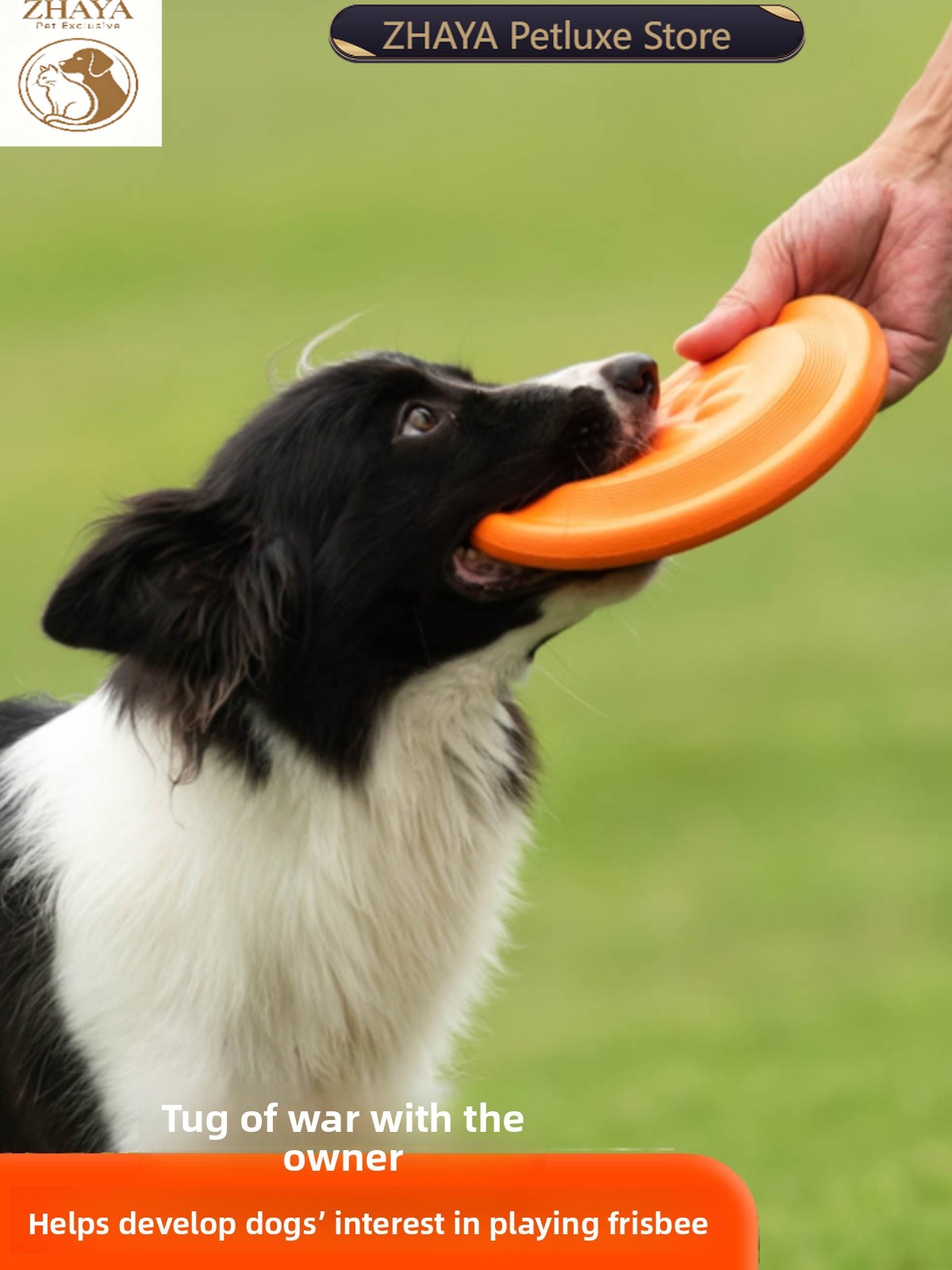 Disco Voador para Cães, Macio, - Flying Disc Dog Training Toy avaliação e preço