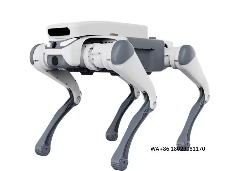 Dublê de controle remoto brinq - Dog Toys avaliação e preço