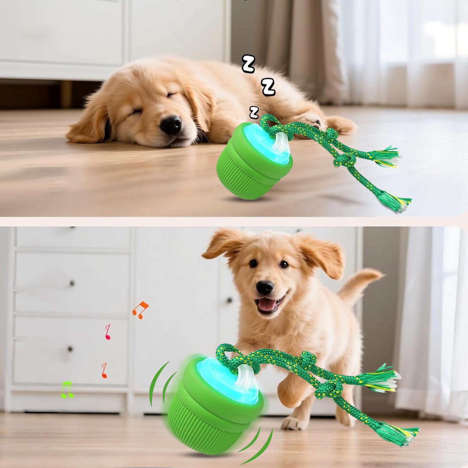 Bola interativa para cachorro, - Automatic Moving Dog Ball avaliação e preço