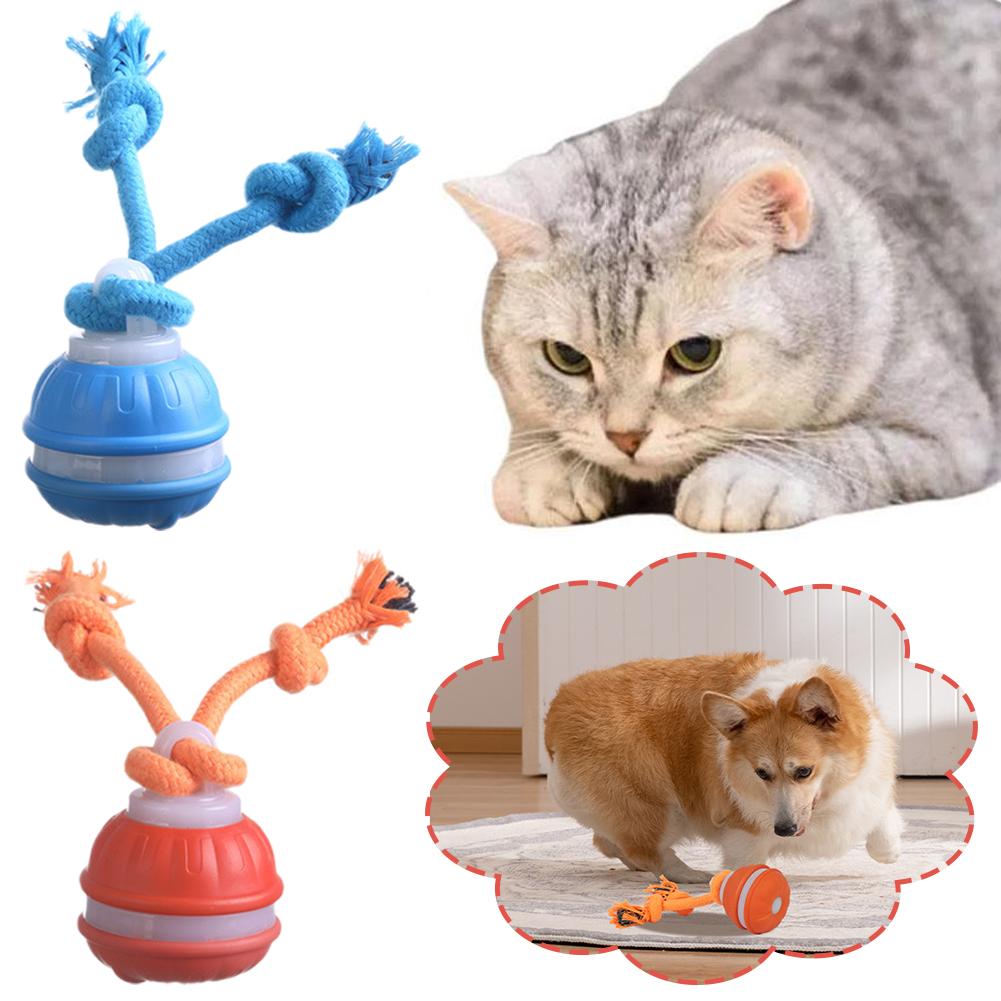Bola de cachorro recarregável  - Automatic Moving Dog Ball avaliação e preço