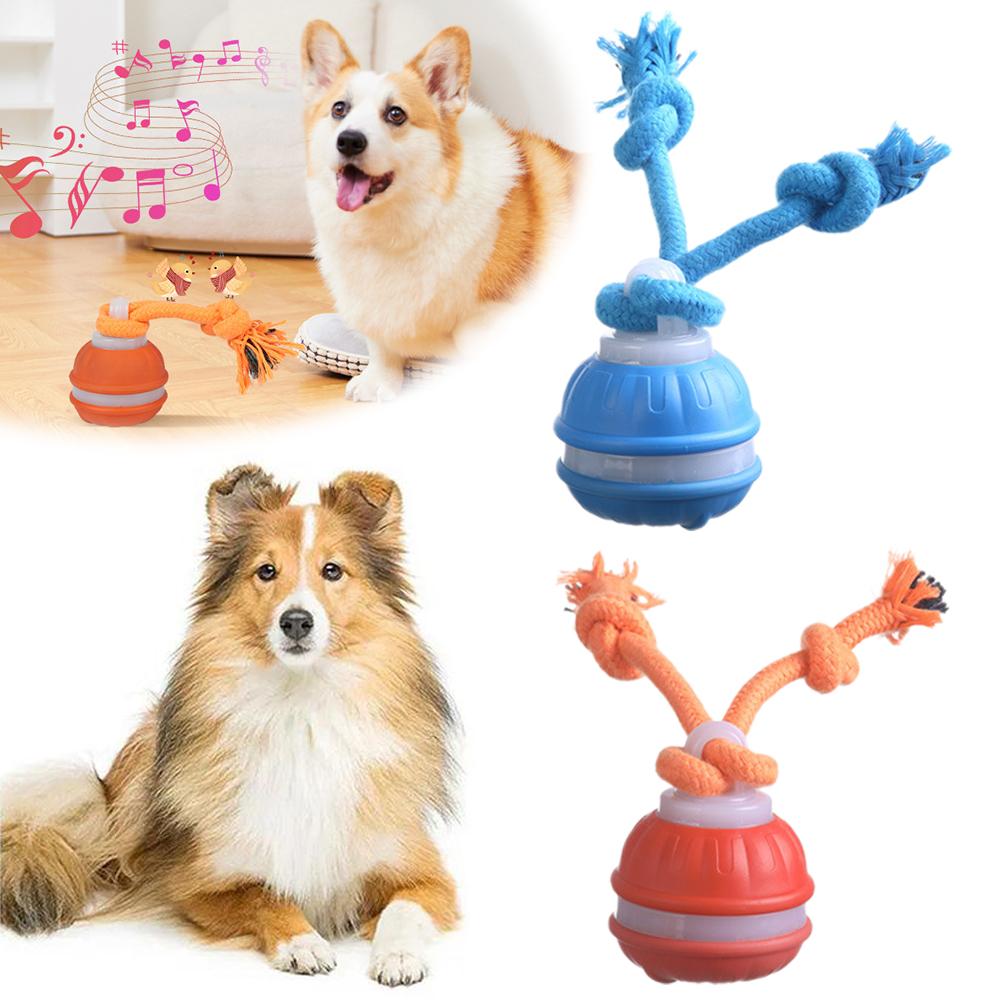 Bola de cachorro recarregável  - Automatic Moving Dog Ball avaliação e preço