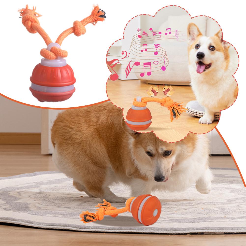 Bola de cachorro recarregável  - Automatic Moving Dog Ball avaliação e preço