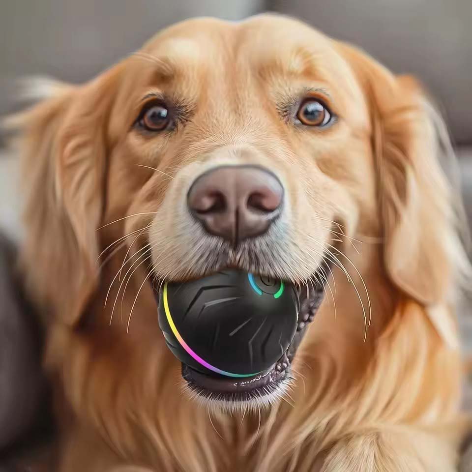 Brinquedos Interativos para Cã - Automatic Moving Dog Ball avaliação e preço