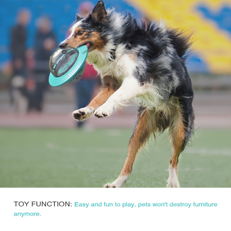 Design interativo cão bola bri - Dog Puzzle Feeder Toy avaliação e preço