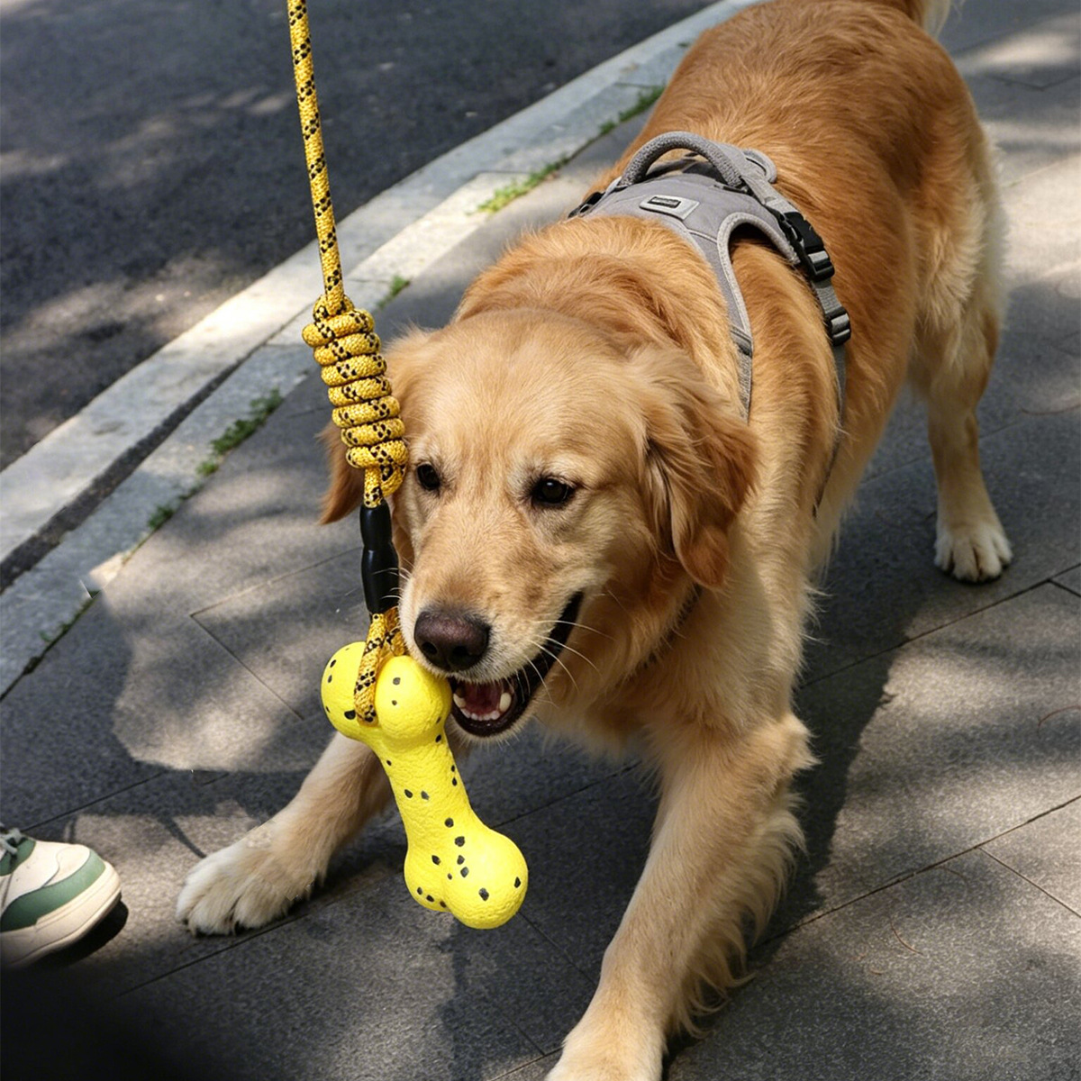 Brinquedo de Corda para Cães d - Dog Rope Toy Aggressive Chewers avaliação e preço