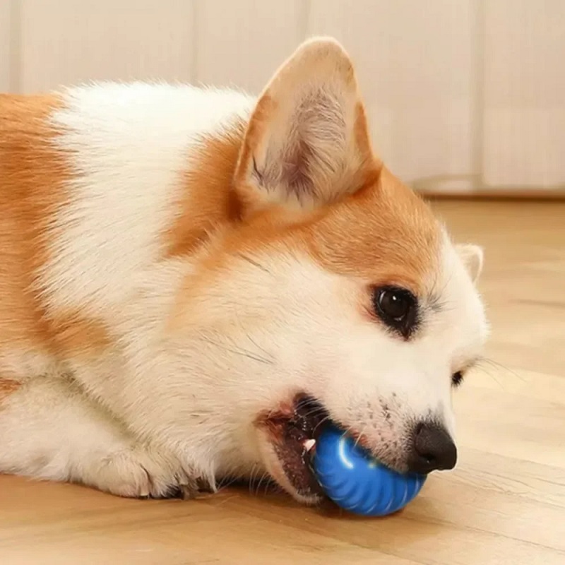 Bola de Brinquedo para Cães co - Suction Cup Dog Tug Toy avaliação e preço