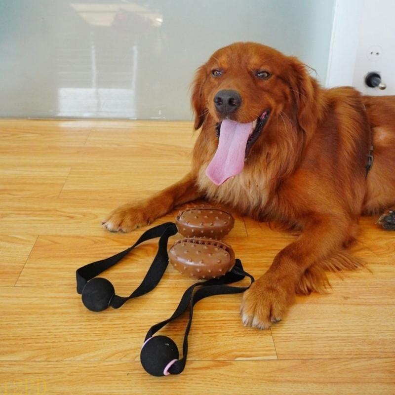 12pd corda feijão café cão mas - Dog Rope Toy Aggressive Chewers avaliação e preço