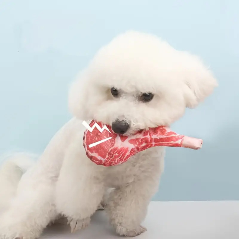Brinquedo Interativo para Cães - Teeth Cleaning Dog Chew Bone avaliação e preço