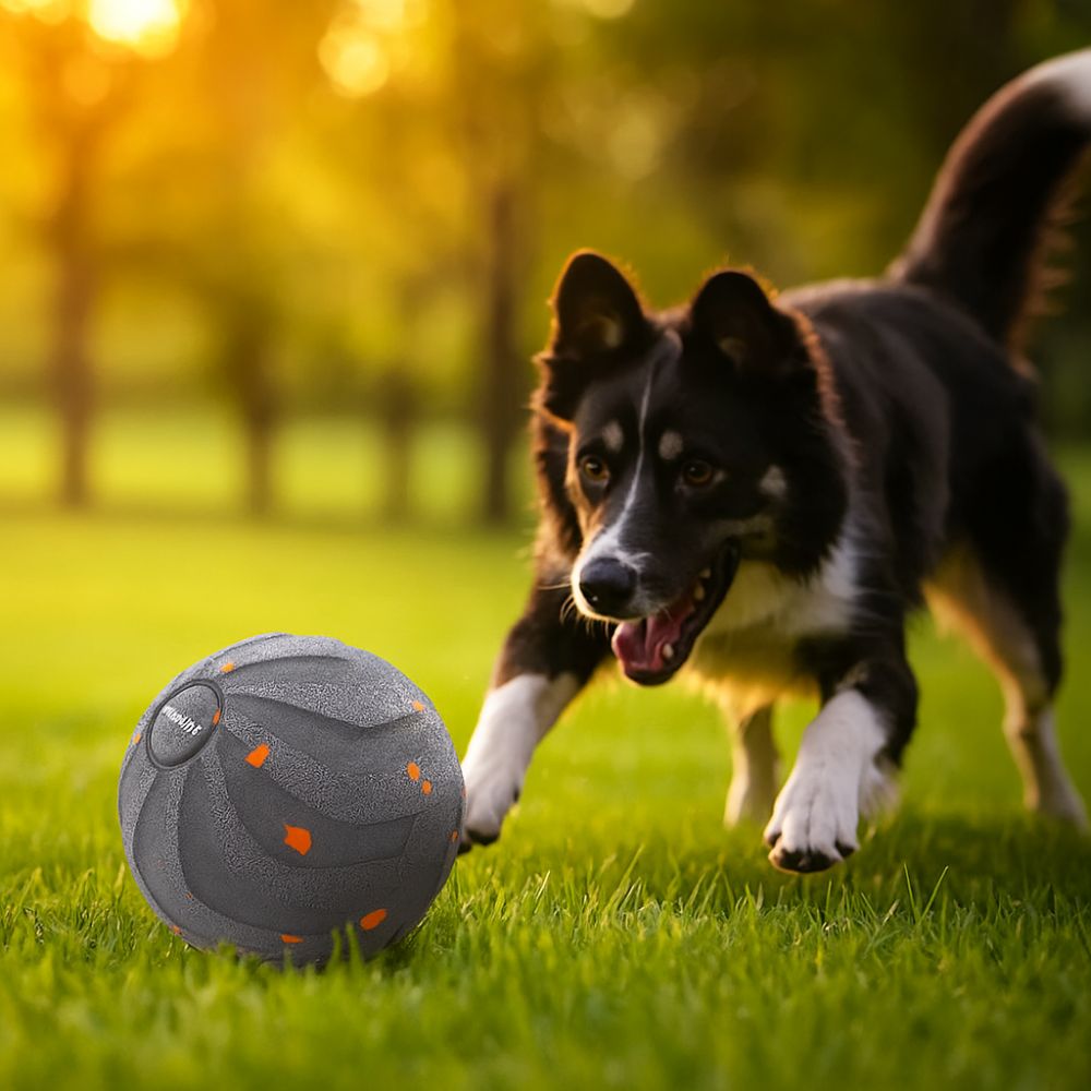 Mordida resistente inteligente - Automatic Moving Dog Ball avaliação e preço