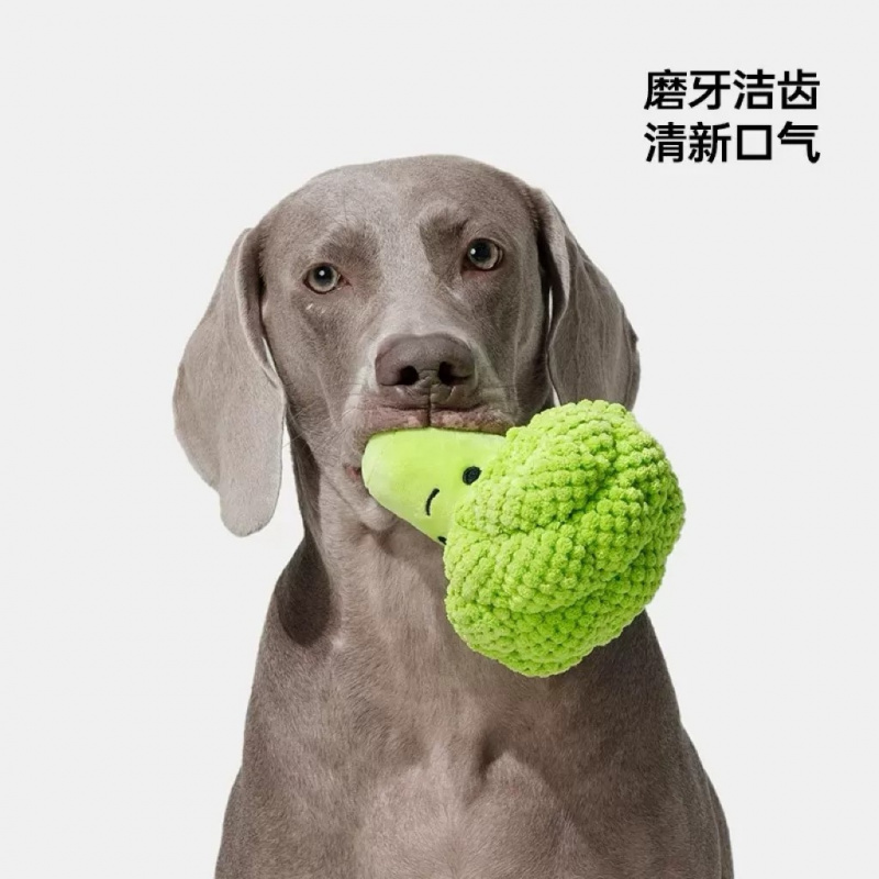 Brinquedo sonoro para cães par - Interactive Squeaky Plush Dog Toy avaliação e preço