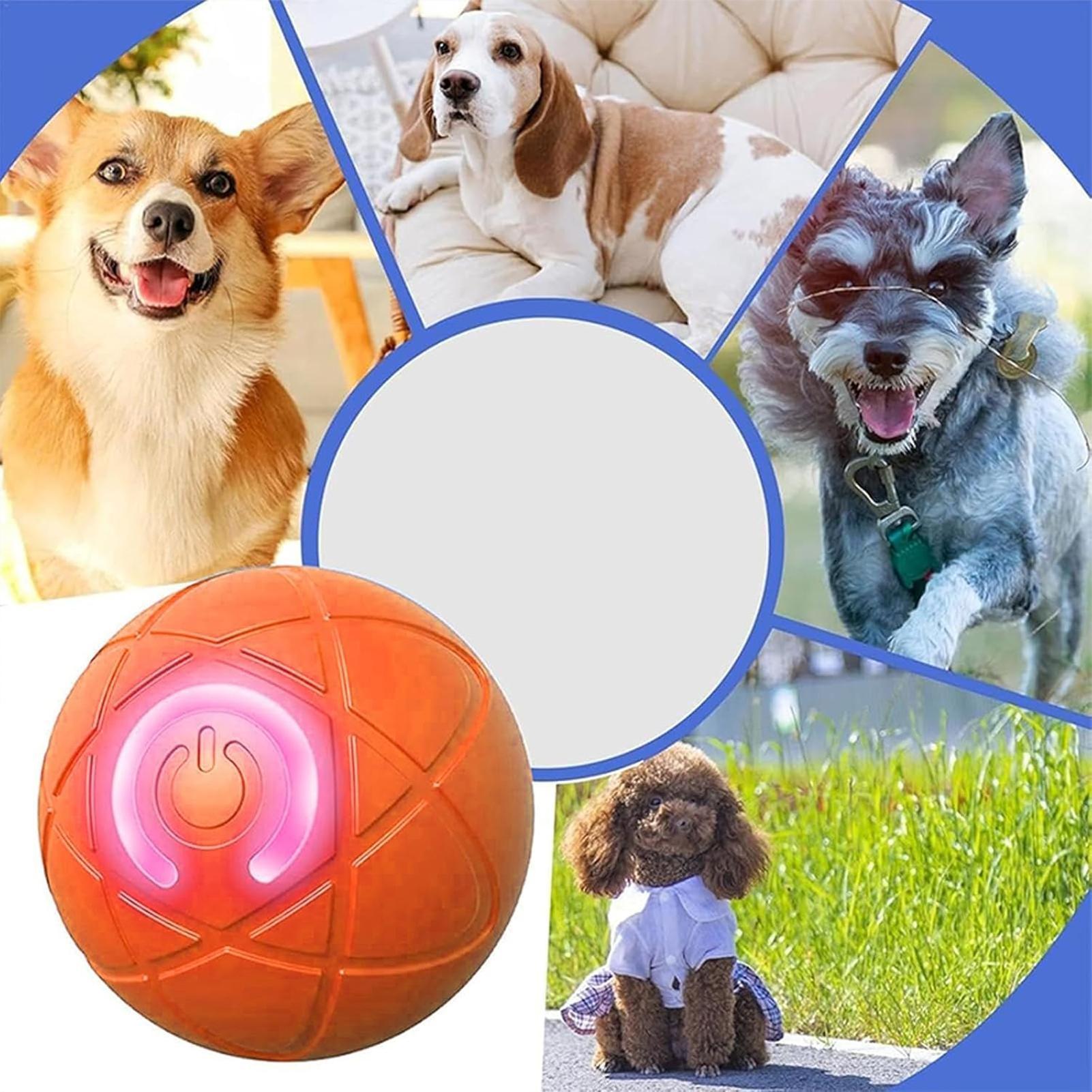 Brinquedo Interativo Eletrônic - Automatic Moving Dog Ball avaliação e preço