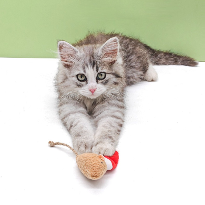 5 pçs gato empurrar mastigar b - Catnip Interactive Plush Mouse avaliação e preço