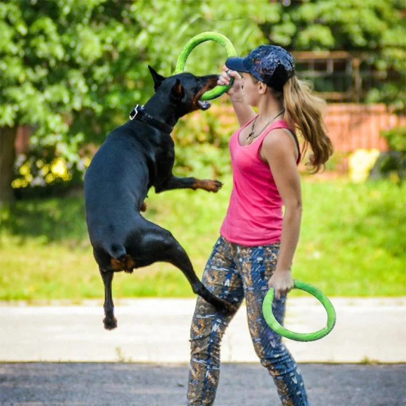 Discos voadores EVA Dog Traini - Suction Cup Dog Tug Toy avaliação e preço
