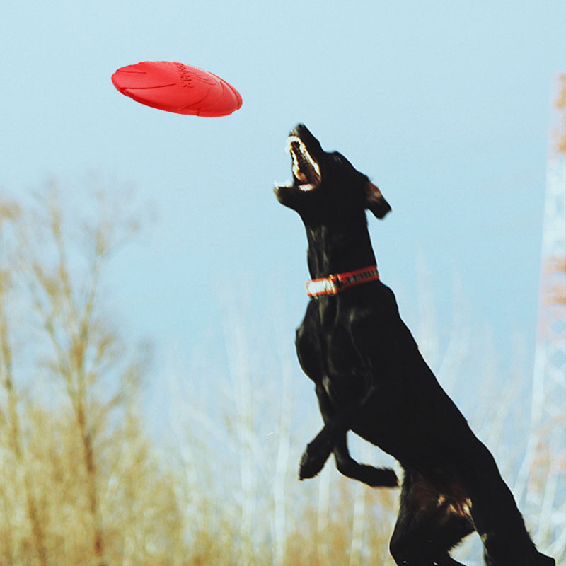 Discos voadores de borracha pa - Flying Disc Dog Training Toy avaliação e preço