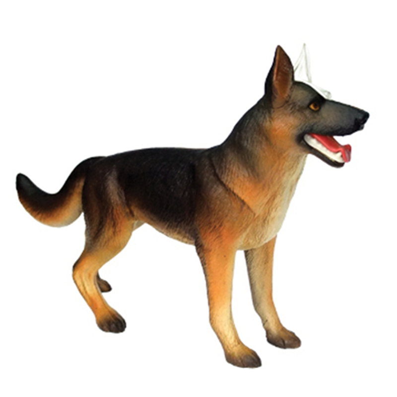 Modelo de Anatomia de Órgãos A - Dog Toys avaliação e preço