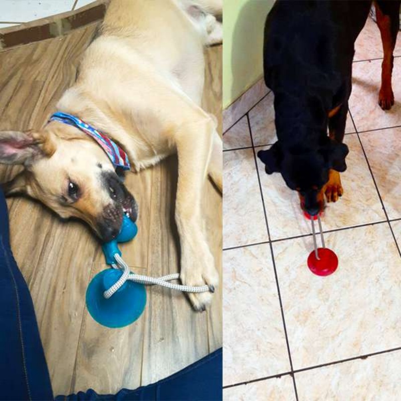 Brinquedo Interativo Durável p - Suction Cup Dog Tug Toy avaliação e preço