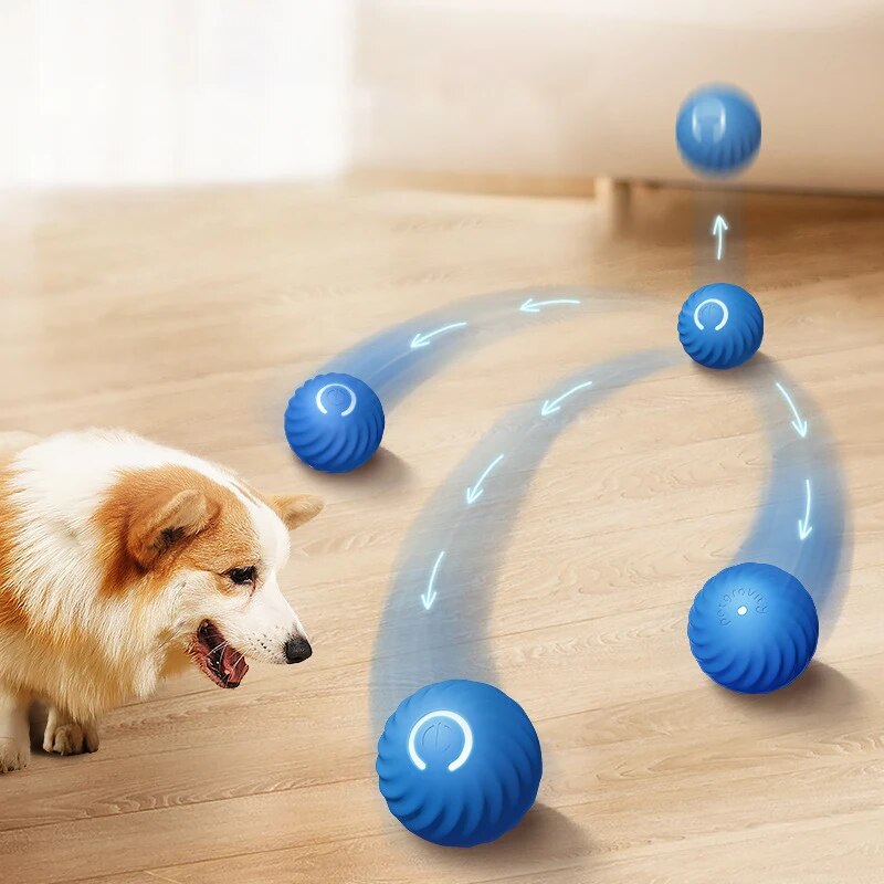 Brinquedos para cães, bola int - Suction Cup Dog Tug Toy avaliação e preço