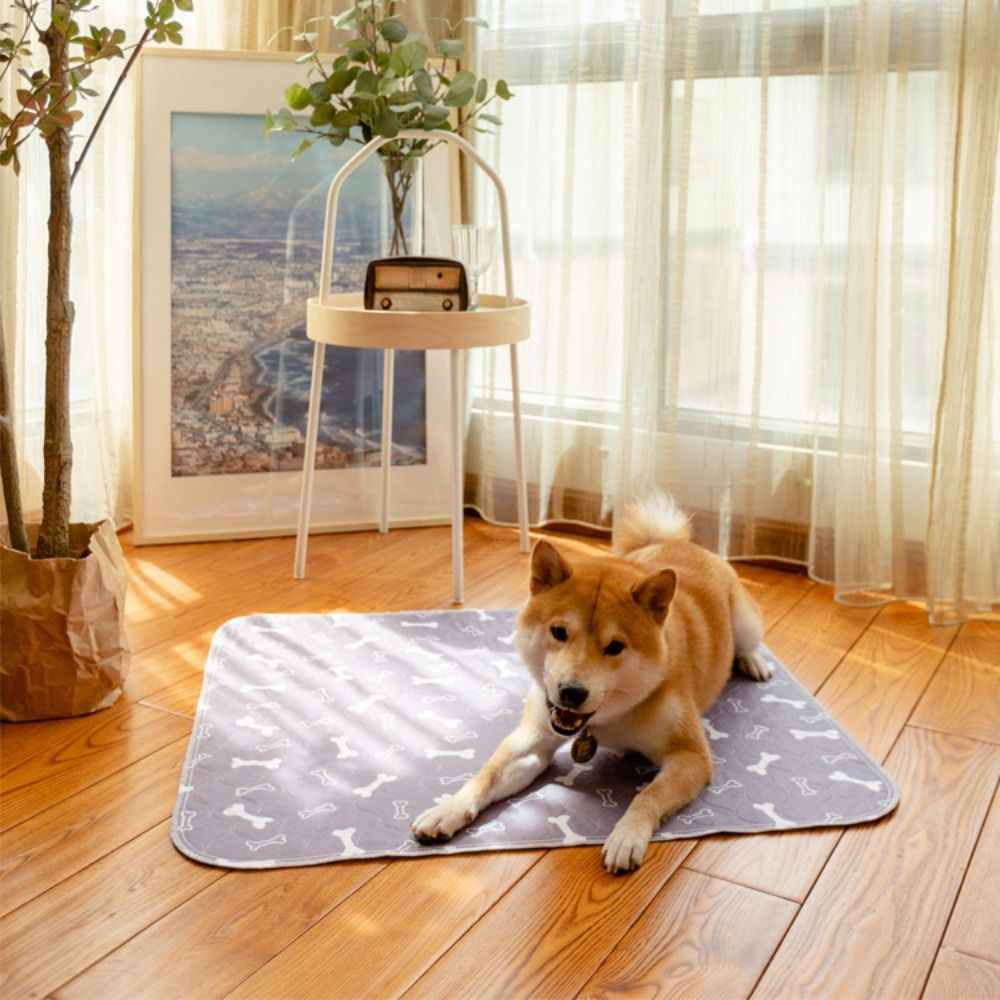 Tapete Super Absorvente e Durá - Pet Beds avaliação e preço