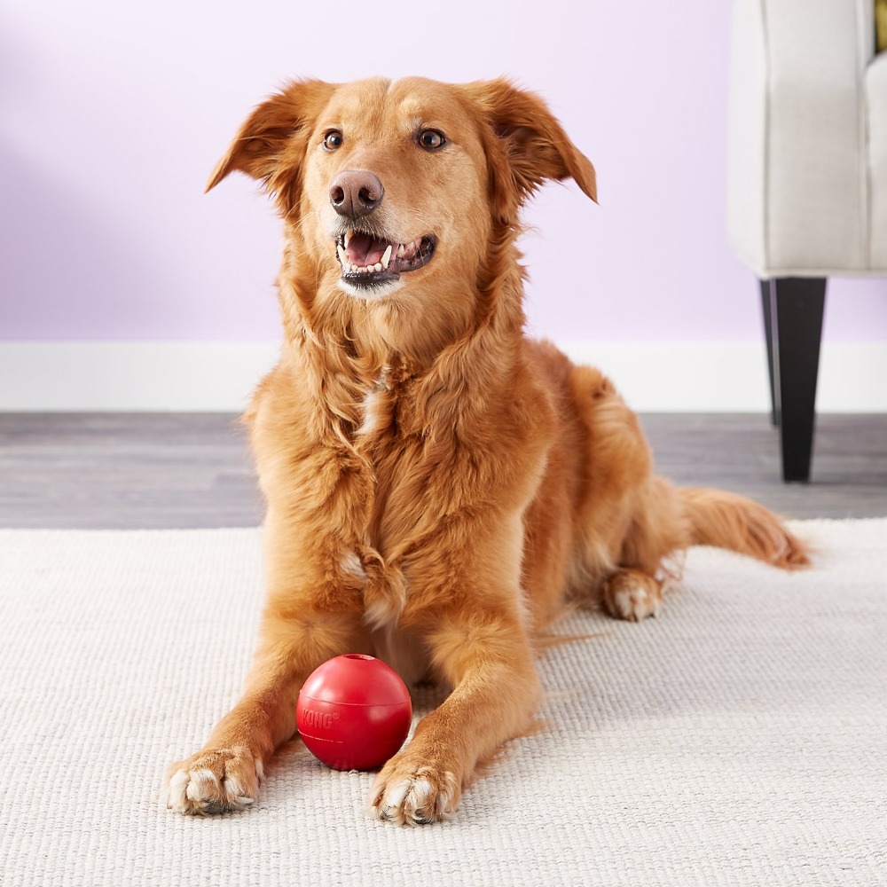 Kong bola cão brinquedo m/l - Indestructible Dog Chew Toy avaliação e preço