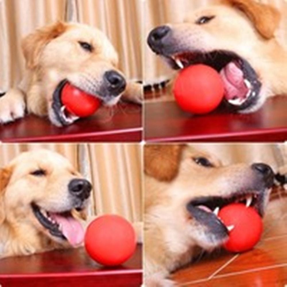 Pet bola sólida de borracha, D - Indestructible Dog Chew Toy avaliação e preço