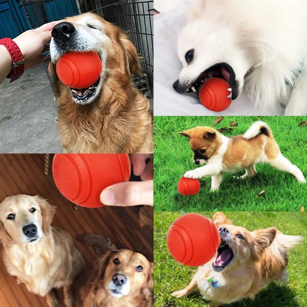 Pet bola sólida de borracha, D - Indestructible Dog Chew Toy avaliação e preço