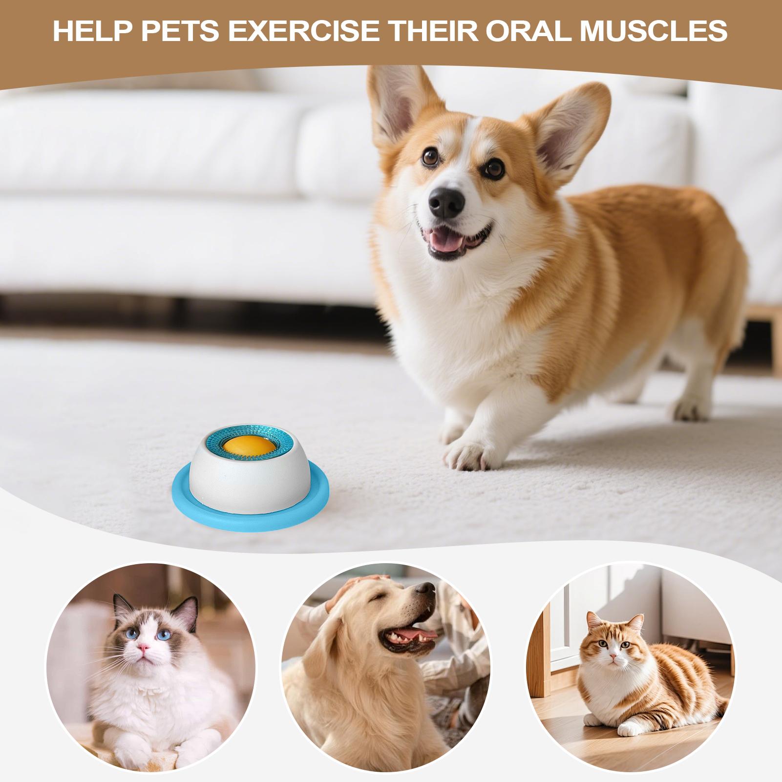 Brinquedo para Cães, Acessório - Dog Puzzle Feeder Toy avaliação e preço
